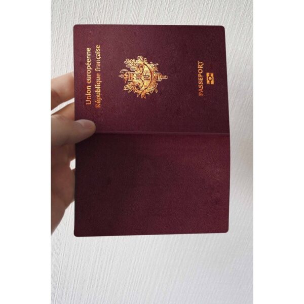 Registered France Passport Online