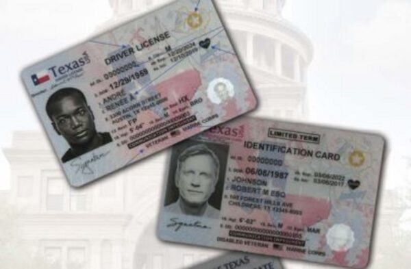 USA Driving License Online